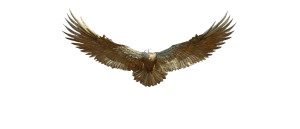 Golden Mechanical Bird Vinyl Car Decal Sticker – Waterproof & UV-Resistant 2.