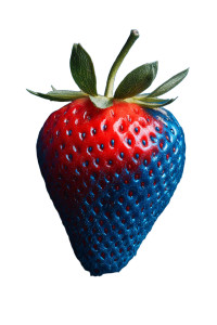 Blue Shell Strawberry Vinyl Car Decal Sticker – Waterproof & UV-Resistant 8.96"
