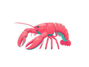 Lobster Vector Art Vinyl Car Decal Sticker – Waterproof & UV-Resistant 6.1866666666666665"