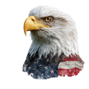 Bald Eagle Flag V7 Vinyl Car Decal Sticker – Waterproof & UV-Resistant 3.4133333333333336" Bald Eagle Flag V7 Vinyl Car Decal Sticker – Waterproof & UV-Resistant 3.4133333333333336"