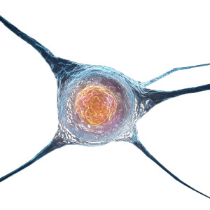 Stem Cell Vinyl Car Decal Sticker – Waterproof & UV-Resistant 3.4133333333333336"