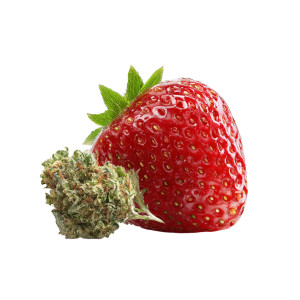 Strawberry And Weed Vinyl Car Decal Sticker – Waterproof & UV-Resistant 3.4133333333333336"