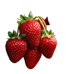 Ripe Strawberries V3 Vinyl Car Decal Sticker – Waterproof & UV-Resistant 3.4133333333333336"
