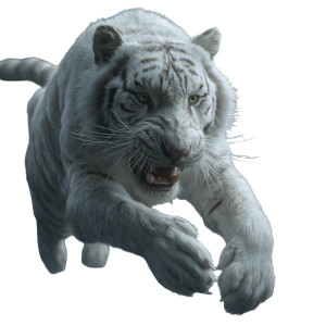White Ferocious Tiger Vinyl Car Decal Sticker – Waterproof & UV-Resistant 3.4133333333333336"