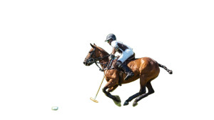 Polo Action Shot V2 Vinyl Car Decal Sticker – Waterproof & UV-Resistant 2.72"