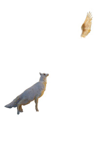 Dreamy Flying Animals Vinyl Car Decal Sticker – Waterproof & UV-Resistant 4.373333333333333"