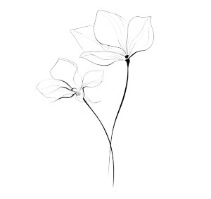 Minimalist Floral Duo Vinyl Car Decal Sticker – Waterproof & UV-Resistant 3.4133333333333336" Minimalist Floral Duo Vinyl Car Decal Sticker – Waterproof & UV-Resistant 3.4133333333333336"