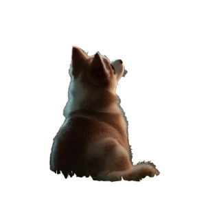 Happy Husky Puppy V2 Vinyl Car Decal Sticker – Waterproof & UV-Resistant 3.4133333333333336" Happy Husky Puppy V2 Vinyl Car Decal Sticker – Waterproof & UV-Resistant 3.4133333333333336"