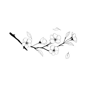 Cherry Blossom Branch V17 Vinyl Car Decal Sticker – Waterproof & UV-Resistant 6.826666666666667" Cherry Blossom Branch V17 Vinyl Car Decal Sticker – Waterproof & UV-Resistant 6.826666666666667"