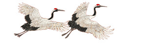 Red-Crowned Cranes Soaring Vinyl Car Decal Sticker – Waterproof & UV-Resistant 1.973333333333333