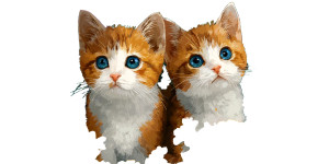 Adorable Kittens V2 Vinyl Car Decal Sticker – Waterproof & UV-Resistant 2.56"