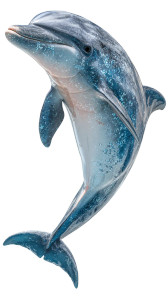 Bioluminescent Bottlenose Dolphin Vinyl Car Decal Sticker – Waterproof & UV-Resistant 9.706666666666667"