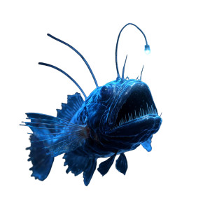 Glowing Angler Fish V2 Vinyl Car Decal Sticker – Waterproof & UV-Resistant 3.4133333333333336"