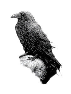 Gothic Raven Skull Vinyl Car Decal Sticker – Waterproof & UV-Resistant 8.213333333333333"