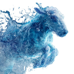 Water Animal Vinyl Car Decal Sticker – Waterproof & UV-Resistant 3.4133333333333336" Water Animal Vinyl Car Decal Sticker – Waterproof & UV-Resistant 3.4133333333333336"