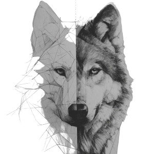 Wolf Dual Sketch Vinyl Car Decal Sticker – Waterproof & UV-Resistant 6.826666666666667"