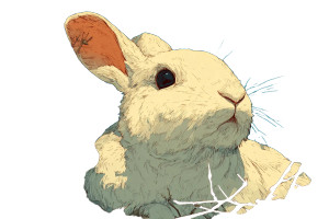 Rabbit V17 Vinyl Car Decal Sticker – Waterproof & UV-Resistant 5.97333333333333
