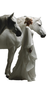 Graceful Equestrian Elegance Vinyl Car Decal Sticker – Waterproof & UV-Resistant 9.706666666666667"