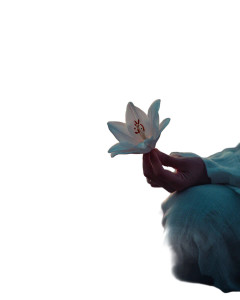 Lily Meditation Hand Vinyl Car Decal Sticker – Waterproof & UV-Resistant 8.0"
