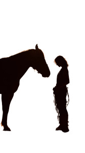 Girl And Horse V7 Vinyl Car Decal Sticker – Waterproof & UV-Resistant 4.8533333333333335" Girl And Horse V7 Vinyl Car Decal Sticker – Waterproof & UV-Resistant 4.8533333333333335"