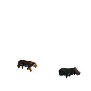 Tiger Hunting Boar Vinyl Car Decal Sticker – Waterproof & UV-Resistant 6.826666666666667"