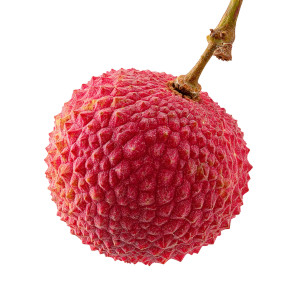 Red Lychee Fruit V2 Vinyl Car Decal Sticker – Waterproof & UV-Resistant 6.826666666666667"