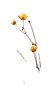 Dreamy Wildflowers Vinyl Car Decal Sticker – Waterproof & UV-Resistant 4.8533333333333335"