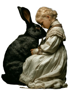 Dark Fantasy Rabbit V3 Vinyl Car Decal Sticker – Waterproof & UV-Resistant 4.1066666666666665"