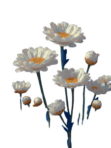 Delicate Daisies Vinyl Car Decal Sticker – Waterproof & UV-Resistant 4.1066666666666665"