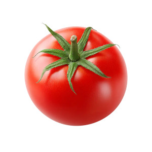 Red Tomato V5 Vinyl Car Decal Sticker – Waterproof & UV-Resistant 3.4133333333333336"