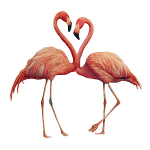 Mirrored Flamingos V2 Vinyl Car Decal Sticker – Waterproof & UV-Resistant 6.826666666666667"