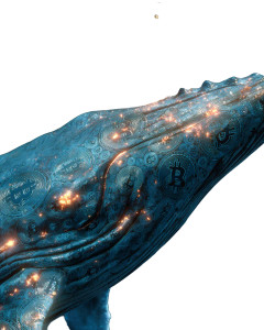 Bitcoin Whale Fantasy Vinyl Car Decal Sticker – Waterproof & UV-Resistant 8.0"