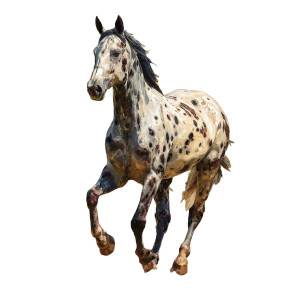 Appaloosa Horse Sketch Vinyl Car Decal Sticker – Waterproof & UV-Resistant 3.4133333333333336" Appaloosa Horse Sketch Vinyl Car Decal Sticker – Waterproof & UV-Resistant 3.4133333333333336"