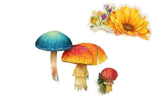 Wildflowers Sticker Vinyl Car Decal Sticker – Waterproof & UV-Resistant 2.986666666666667"