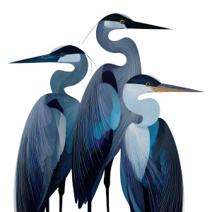 Gray Herons Abstract Vinyl Car Decal Sticker – Waterproof & UV-Resistant 6.826666666666667"