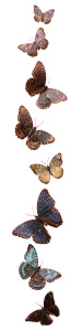 Peranakan Pattern Butterflies Vinyl Car Decal Sticker – Waterproof & UV-Resistant 14.506666666666666"