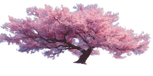 Cherry Blossom Spring Vinyl Car Decal Sticker – Waterproof & UV-Resistant 2.56"