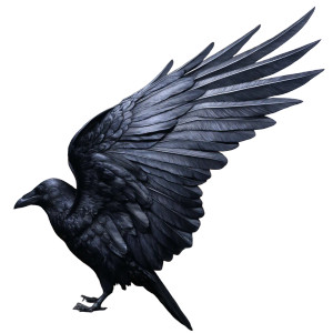 Surreal Raven Wing Vinyl Car Decal Sticker – Waterproof & UV-Resistant 3.4133333333333336" Surreal Raven Wing Vinyl Car Decal Sticker – Waterproof & UV-Resistant 3.4133333333333336"