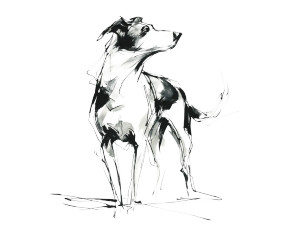 Stylish Dog Sketch Vinyl Car Decal Sticker – Waterproof & UV-Resistant 6.1866666666666665"