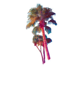 Tropical Palm Tree V2 Vinyl Car Decal Sticker – Waterproof & UV-Resistant 4.4