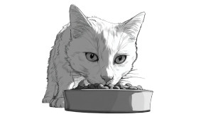 Cat Eating Kibble Vinyl Car Decal Sticker – Waterproof & UV-Resistant 2.72"