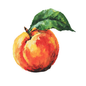 Juicy Peach Vinyl Car Decal Sticker – Waterproof & UV-Resistant 3.4133333333333336" Juicy Peach Vinyl Car Decal Sticker – Waterproof & UV-Resistant 3.4133333333333336"