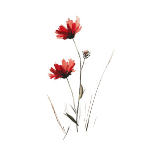 Red Wild Flowers Vinyl Car Decal Sticker – Waterproof & UV-Resistant 3.4133333333333336"