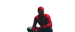 Spider-Man Nyc Vinyl Car Decal Sticker – Waterproof & UV-Resistant 4.