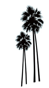 California Palm Trees Vinyl Car Decal Sticker – Waterproof & UV-Resistant 9.706666666666667"