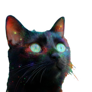 Glowing Cat Eyes Vinyl Car Decal Sticker – Waterproof & UV-Resistant 3.4133333333333336"