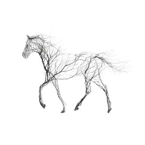Branch Horse Silhouette Vinyl Car Decal Sticker – Waterproof & UV-Resistant 3.4133333333333336" Branch Horse Silhouette Vinyl Car Decal Sticker – Waterproof & UV-Resistant 3.4133333333333336"