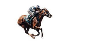 Racing Horse Target Vinyl Car Decal Sticker – Waterproof & UV-Resistant 2.56"