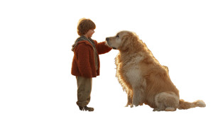 Boy And Golden Retriever V2 Vinyl Car Decal Sticker – Waterproof & UV-Resistant 2.72" Boy And Golden Retriever V2 Vinyl Car Decal Sticker – Waterproof & UV-Resistant 2.72"