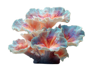 Alien Coral Reef Vinyl Car Decal Sticker – Waterproof & UV-Resistant 6.1866666666666665"